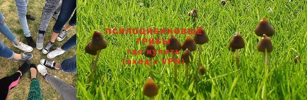 ешки Нефтегорск