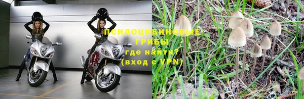 ешки Нефтегорск