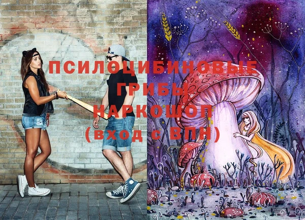 дживик Нефтекумск