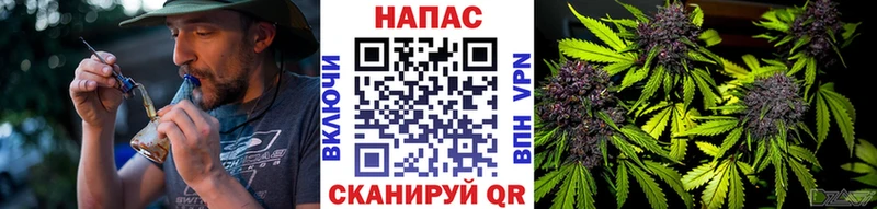 Каннабис Bruce Banner  Купить где  Калачинск 